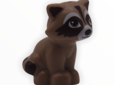 Raccoon (dark brown striped tail) Online