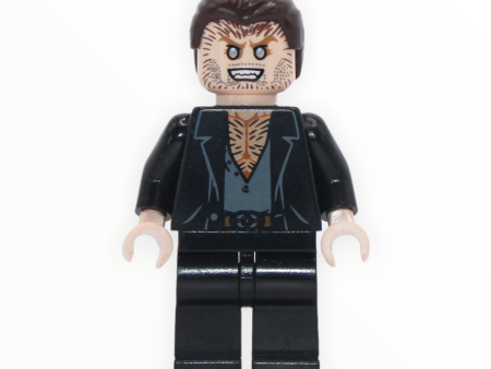 Fenrir Greyback (dark brown hair, 2010) Online